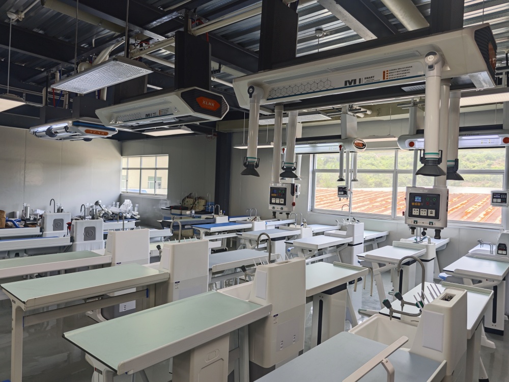 專業定制，品質保證：量身打造最適合您的理化生智能吊裝實驗室